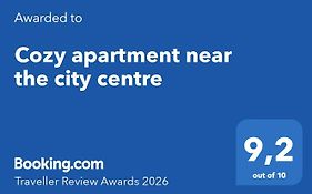 Cozy Apartment Near The City Centre